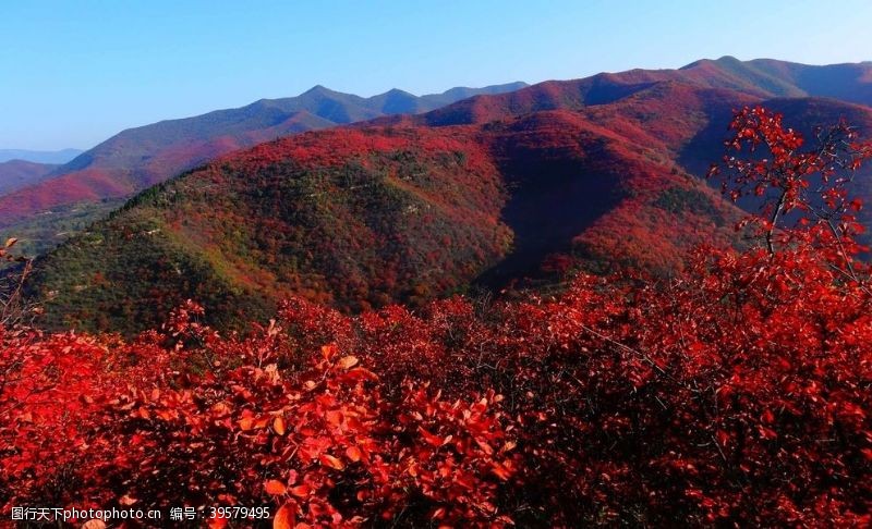 浑河风光黄河峡谷游览区图片