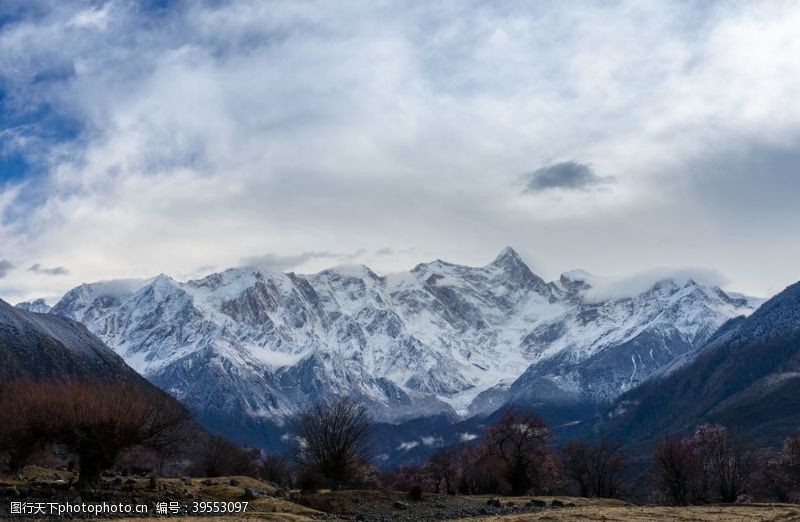 桃花旅游林芝图片