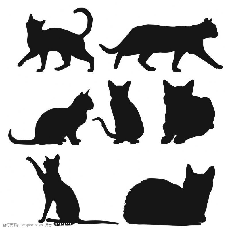 logo猫卡通图片