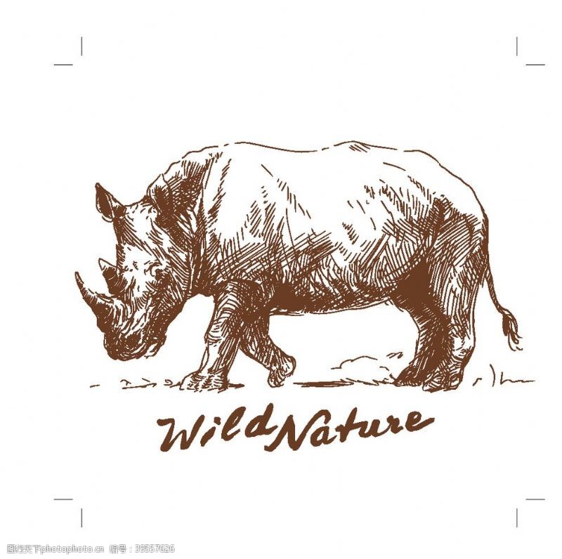 樱花节艺术字手绘野生动物老虎数码印花犀牛图片