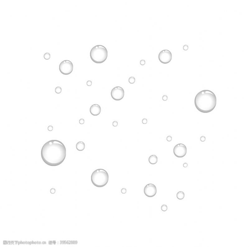 透明的花水滴水珠素材图片