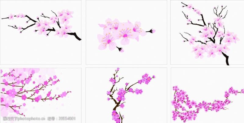春季花卉桃花图片