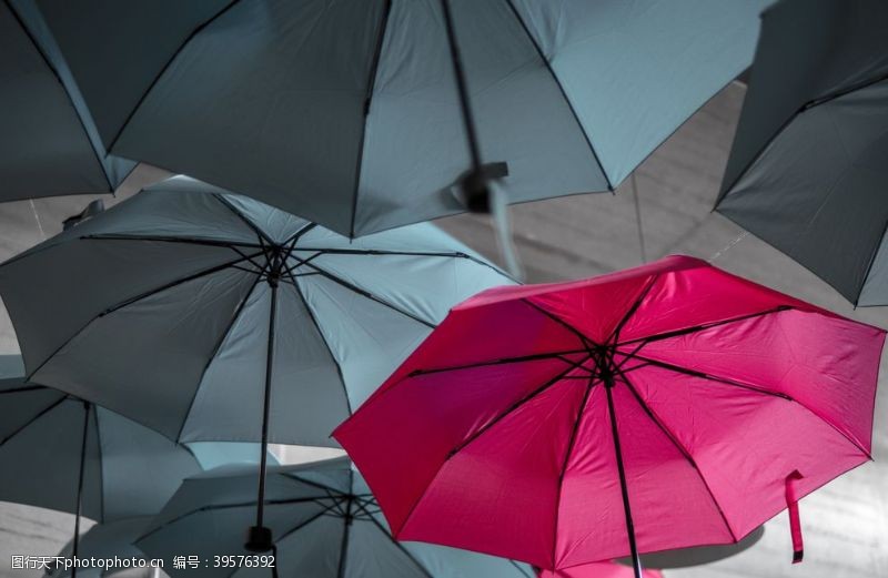 保护伞雨伞图片