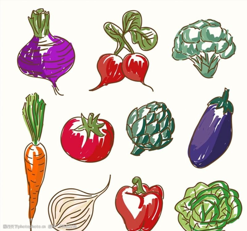 矢量柿子彩绘蔬菜矢量图片