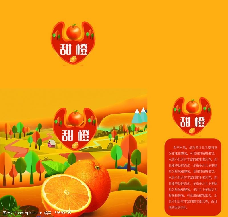 水果插画橙子包装图片