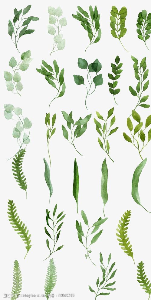 精美植物花纹创意手绘草叶素材图片