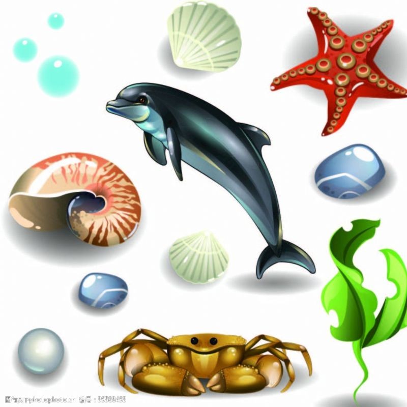 卡通贝壳图片海洋生物图片