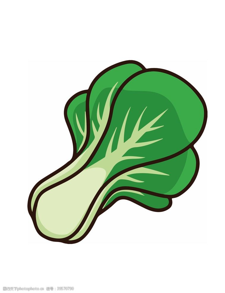 蔬菜广告卡通插画健康蔬菜素材图片