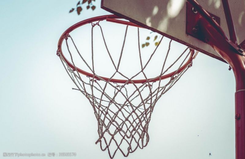 运动休闲篮球框图片