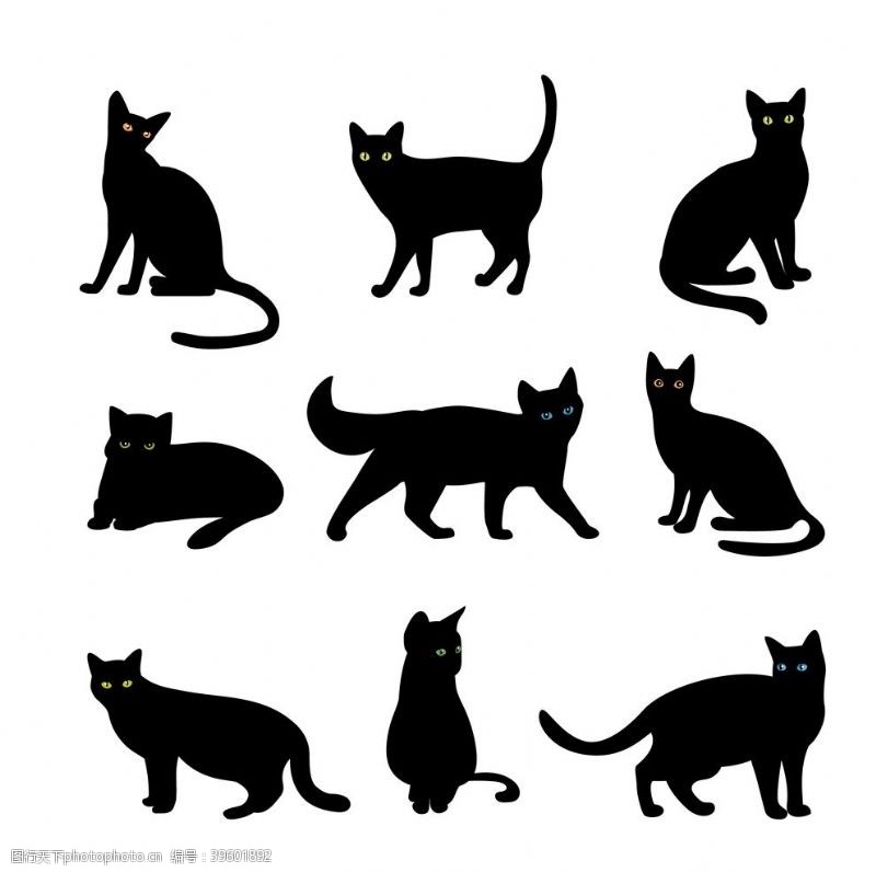 宝瞳logo猫卡通图片
