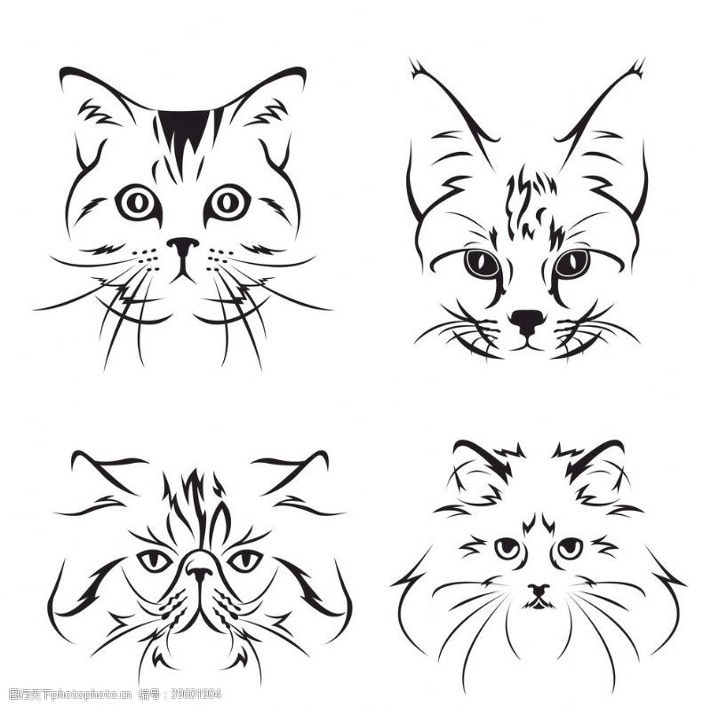 联通logo猫卡通图片