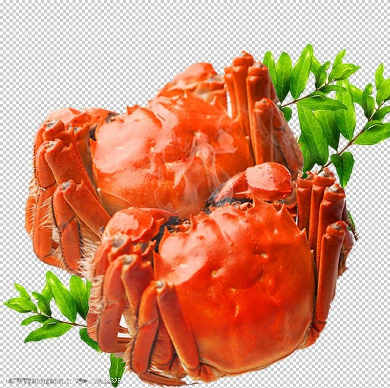 大闸蟹展板螃蟹图片