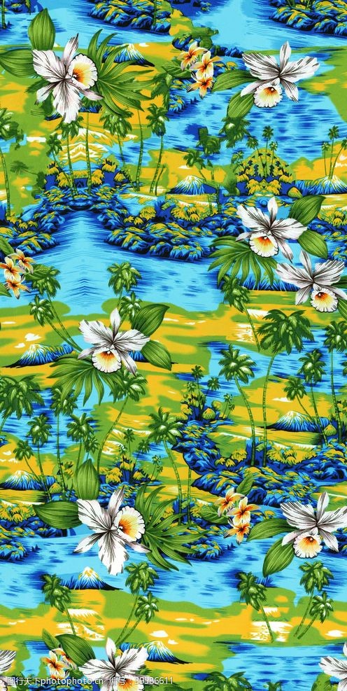 新春水牌热带椰树花图片