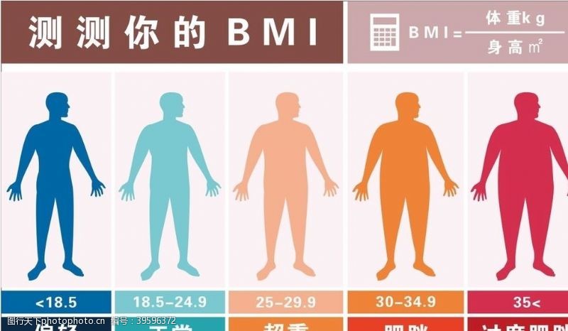 体重对照表BMI指标对照表图片