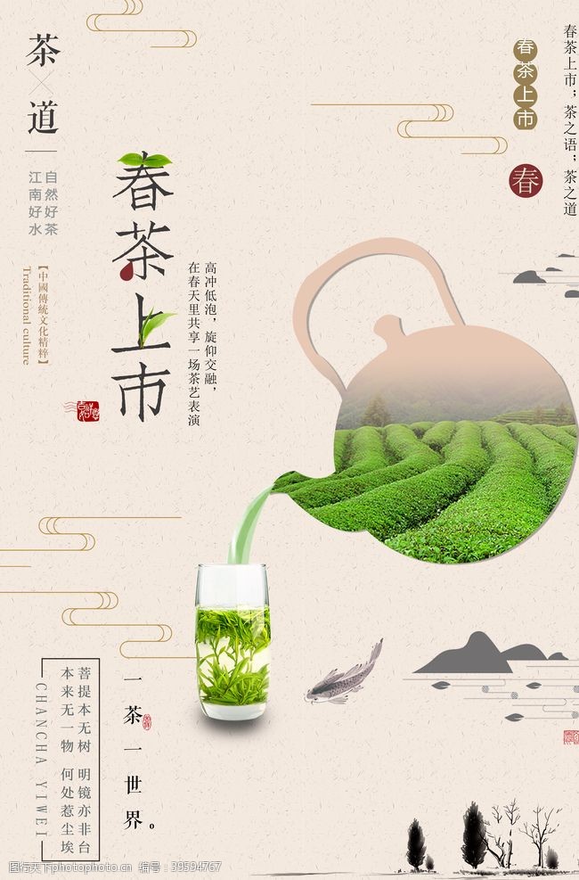 名茶展板茶文化茶叶图片