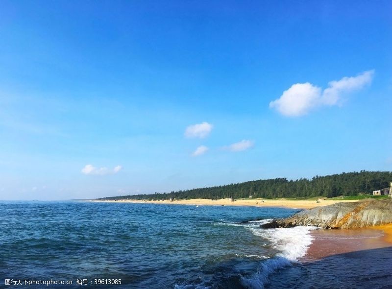 花的海洋大海图片