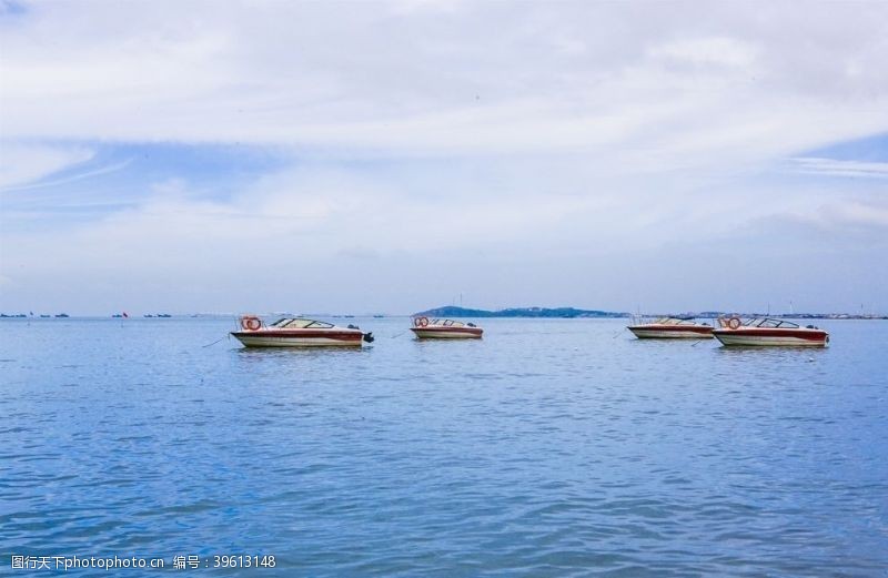 花的海洋大海图片