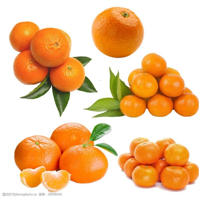 种子包装设计橘子图片