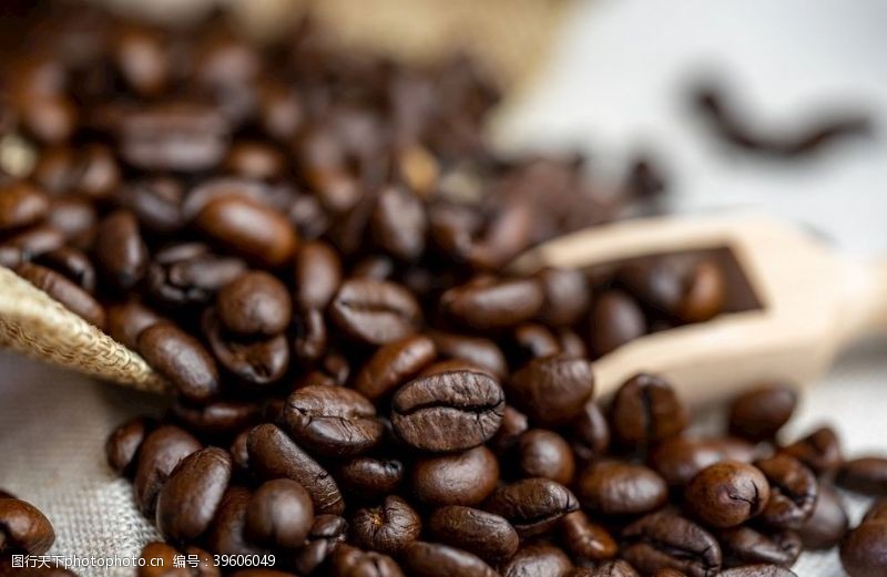 咖啡豆特写颗粒饱满味道香醇的咖啡豆图片