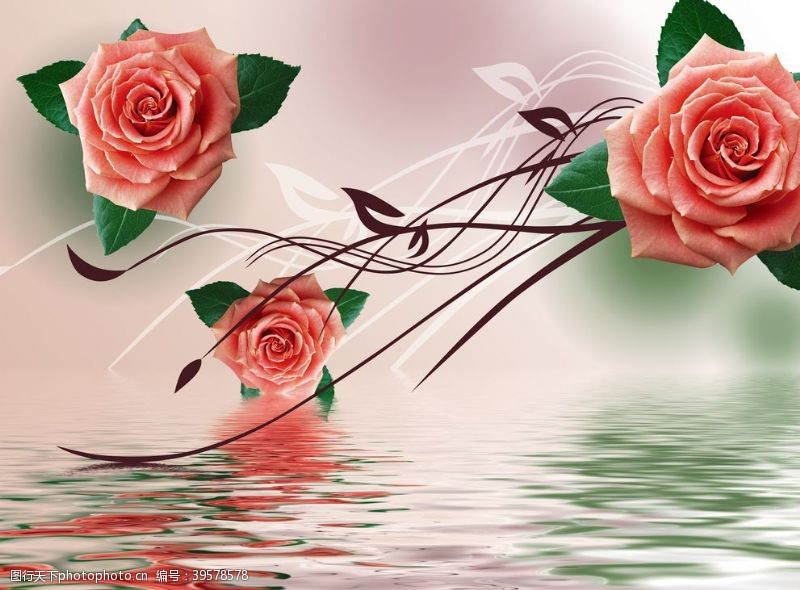 喜鹊玫瑰花波纹图片