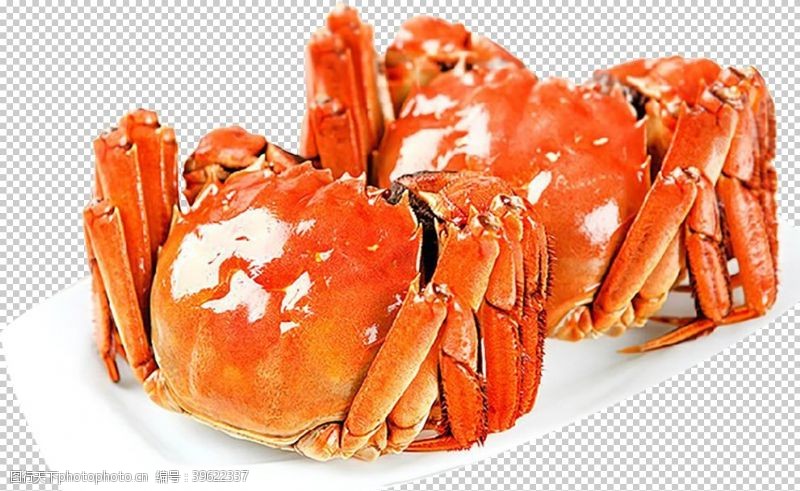 超市特价螃蟹图片