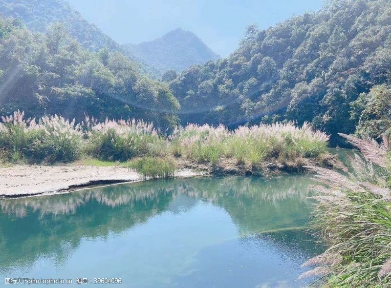 原生态森林山水图片