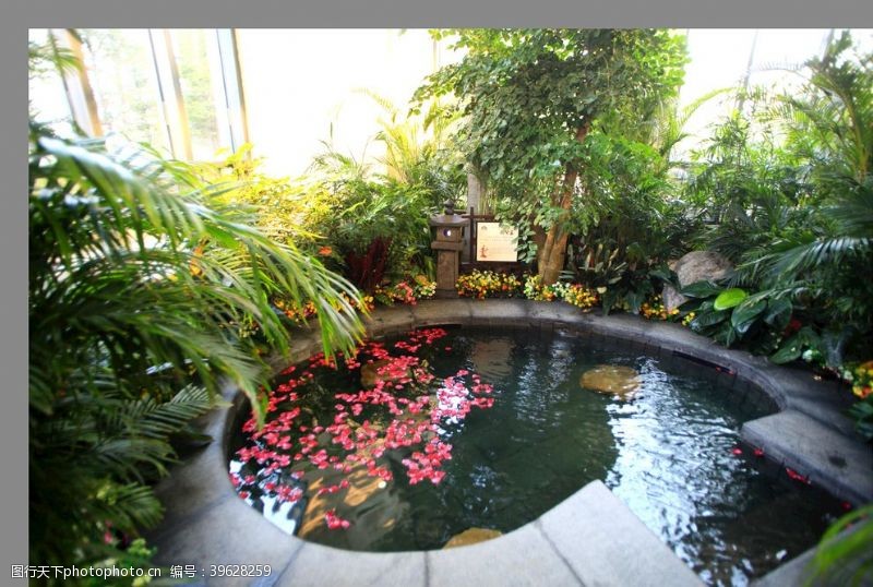 浴池生态温泉图片