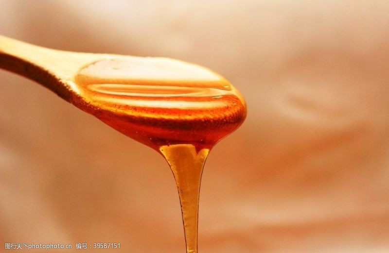 野营香甜营养的蜂蜜图片