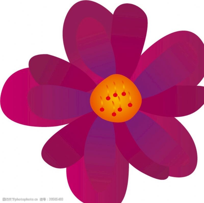 紫叶桃花鲜艳花朵图片