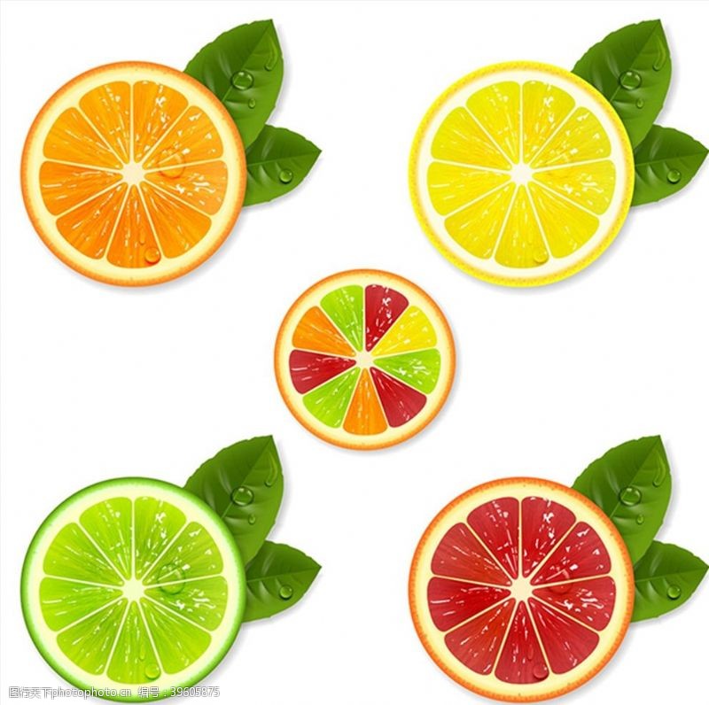 水果树矢量素材彩色柠檬切片图片