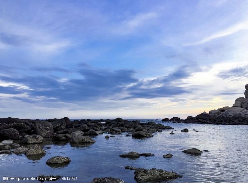 花的海洋大海图片