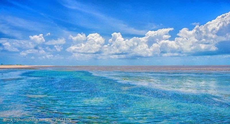 水草哥斯达黎加海景图片