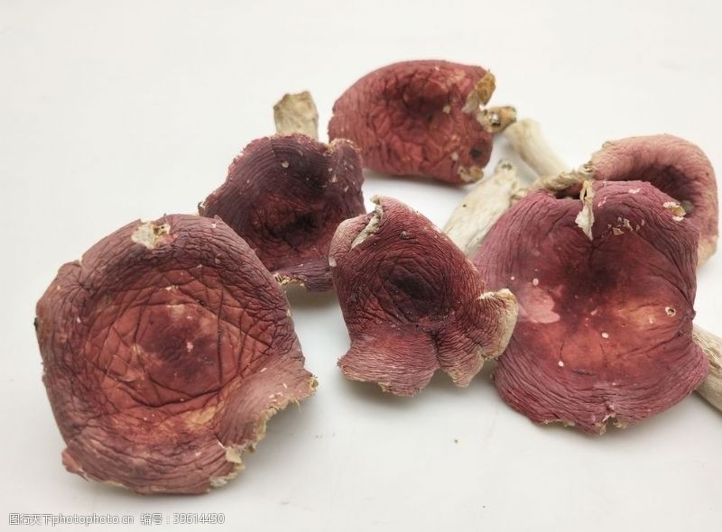 菇类红菇图片