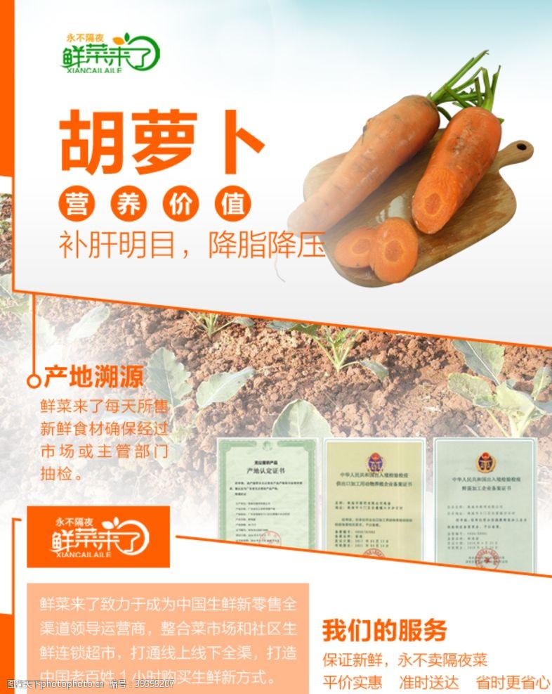 菜品排版胡萝卜详情页图片