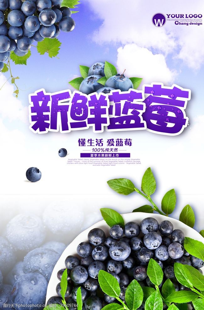 野生蓝莓蓝莓海报图片