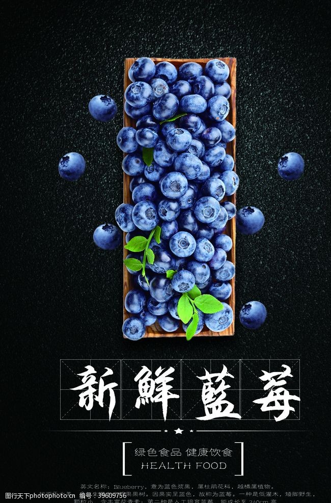 新鲜蓝莓蓝莓海报图片