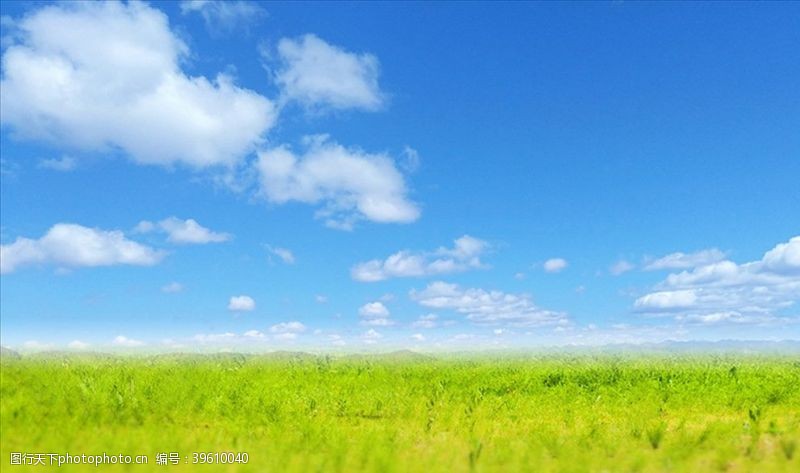 清新绿色蓝天蓝天白云背景图片