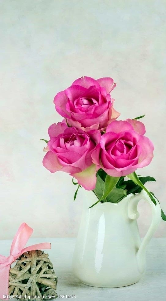 郁金香玫瑰图片
