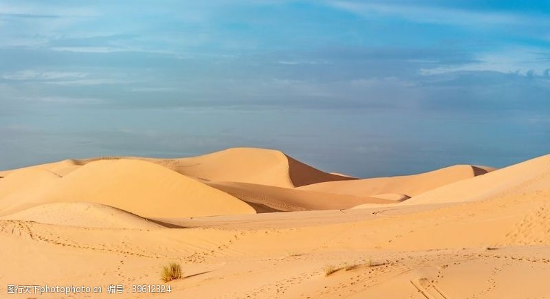 撒哈拉沙漠撒哈拉图片