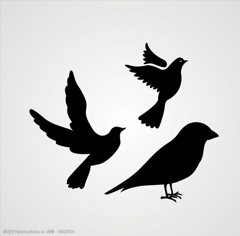 矢量鸟矢量卡通鸟元素设计图片