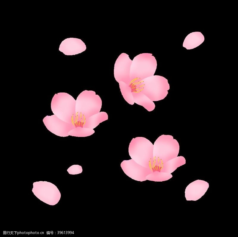 卡通樱桃手绘春天飘扬花瓣花朵桃花樱花卡图片