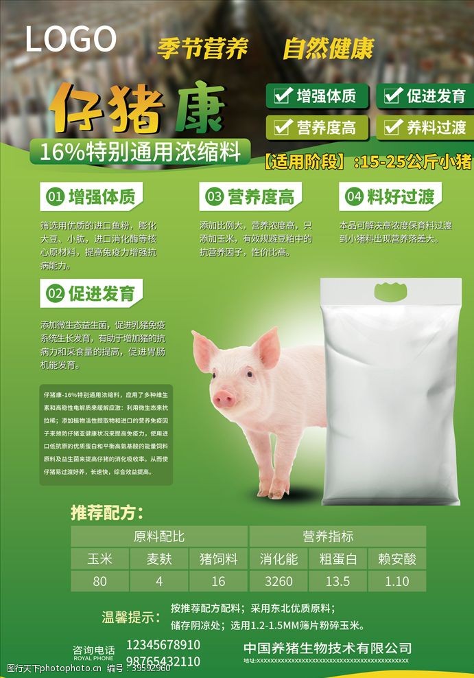 生猪养殖猪饲料海报图片