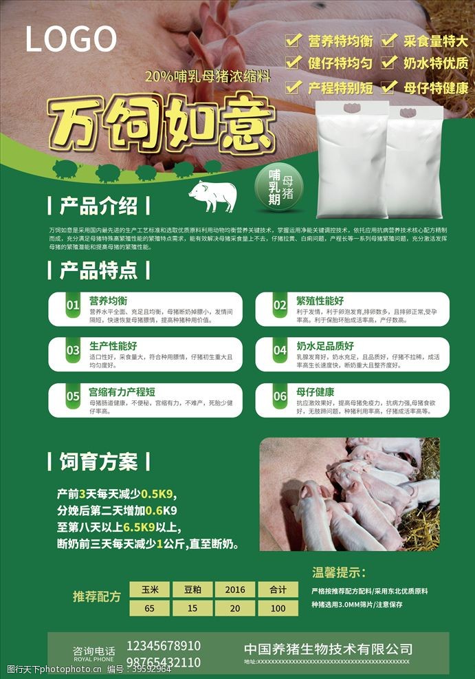 农场宣传单猪饲料海报图片