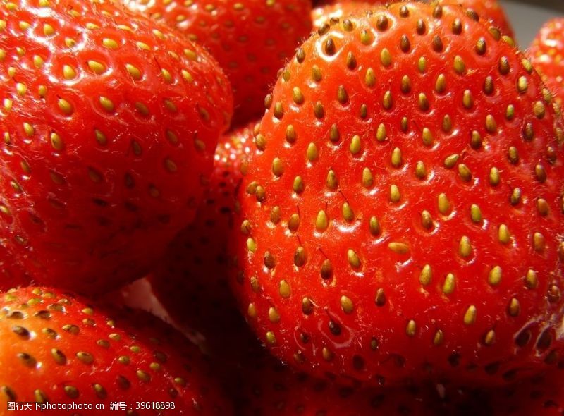 水草草莓图片