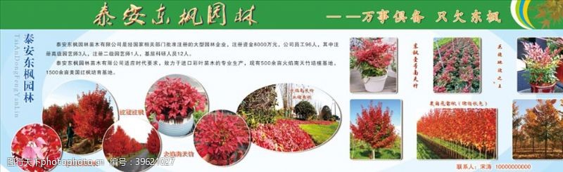 秋季活动东枫园林图片