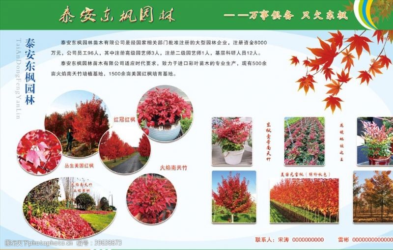 秋季活动东枫园林图片