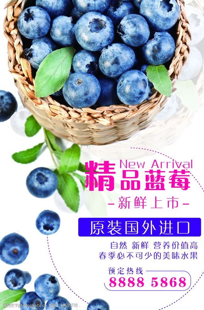 新鲜蓝莓蓝莓海报图片