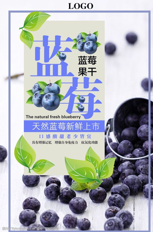 野生蓝莓蓝莓海报图片