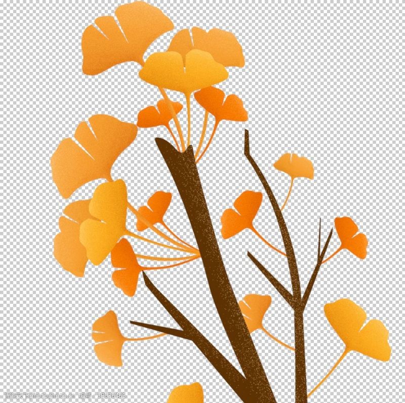 边框素材秋天银杏叶图片