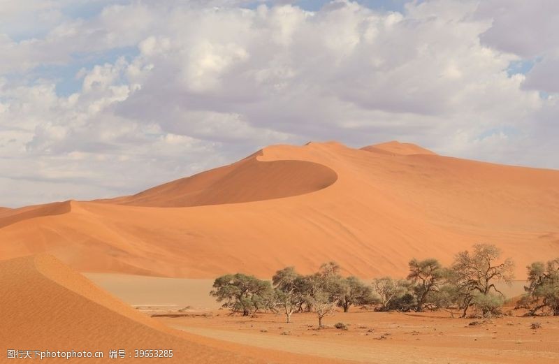 沙漠纹理沙漠戈壁滩图片